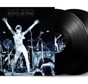 Ziggys Last Stand (2 LP Vinyl)