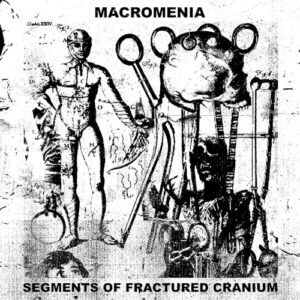 Segments Of Fractured Cranium