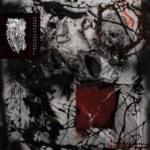 Hypervirulence Architecture (Vinyl LP)