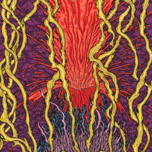 Harmonic Tremors (Vinyl LP)