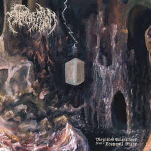 Disgraced Emanations from a Tranquil State (Vinyl)