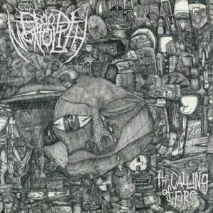 Calling of Fire The (Vinyl LP)