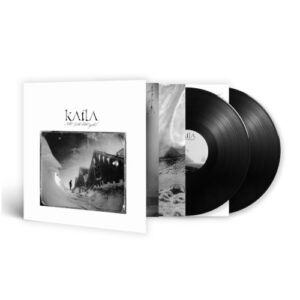Allt Detta Helvitis Myrkur (2 LP Vinyl)