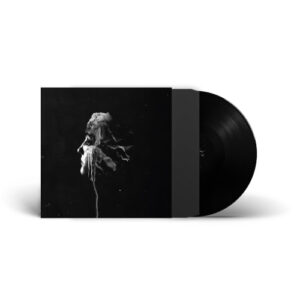 Light The (Vinyl LP)