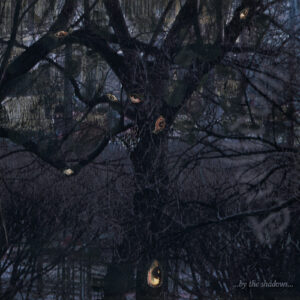 By The Shadows (Digipack)