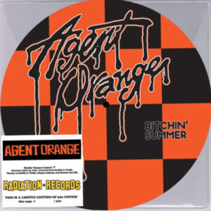 Bitchin' Summer (7" Vinyl Single Picture Disc)