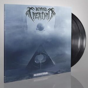 Algorythm (2 LP Black Vinyl)
