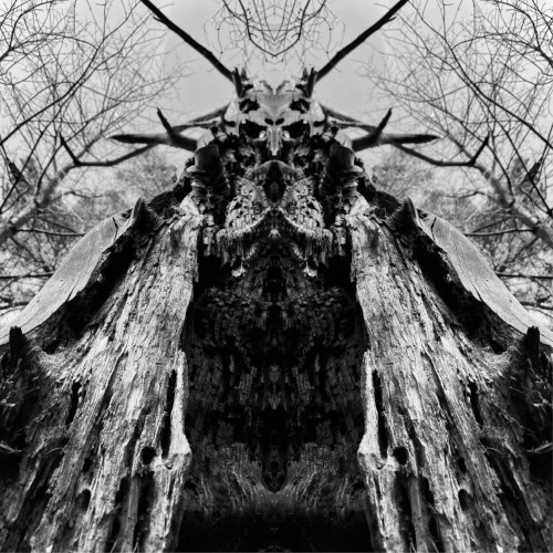 To Serve The Dune (Digipack)