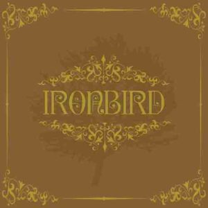 Ironbird