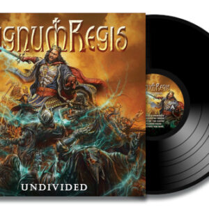 Undivided (Vinyl LP)