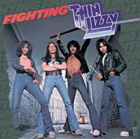 Fighting (vinyl)