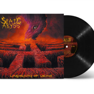 Labyrinth Of Veins (Vinyl LP)