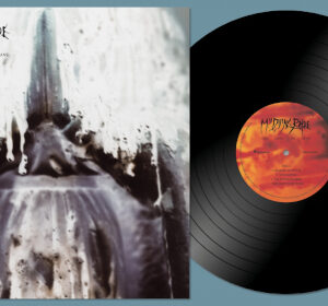 Turn Loose The Swans (Black Vinyl LP)