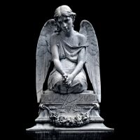 2004 - 2013 (vinyl Ltd.)