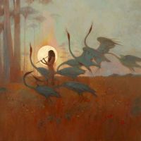 Les Chants De L'aurore (picture vinyl)