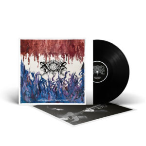 Disharmonic Variations (Vinyl LP)