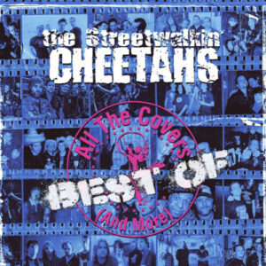 All The Covers & More (Vinyl LP)