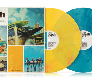 Many Faces of The Beach Boys The (2 LP Marbled)