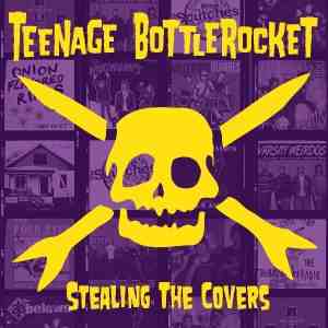 STEALING THE COVERS (Vinyl LP)