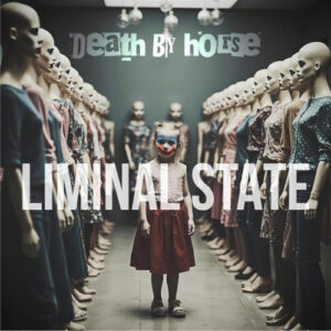 Liminal State (Vinyl LP)