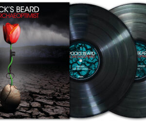 Archaeoptimist The (2 LP Black Vinyl)