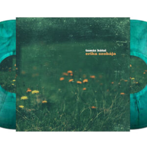 Erika Szobaja (2 LP Marbled Vinyl)