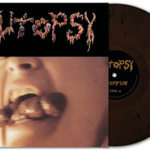 Shitfun (Brown Marbled Vinyl LP)