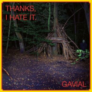 Thansk, I Hate It (Vinyl LP + CD)