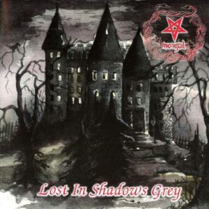 Lost In Shadows Grey (Coloured Vinyl LP)
