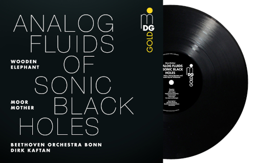 Analog Fluids of Sonic Black Holes (Black Vinyl LP