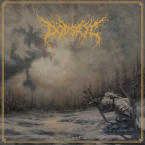 Nocturnal Will (Vinyl LP)